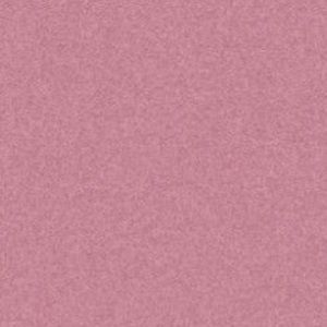 Meet your Posher, Eva